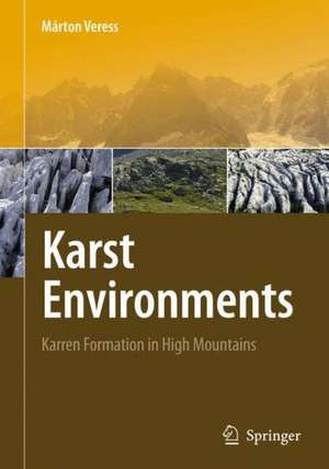 Karst Environments: Karren Formation in High Mountains de Márton Veress