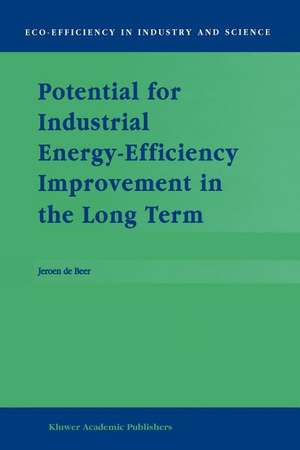 Potential for Industrial Energy-Efficiency Improvement in the Long Term de J. de Beer