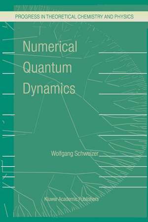 Numerical Quantum Dynamics de W. Schweizer