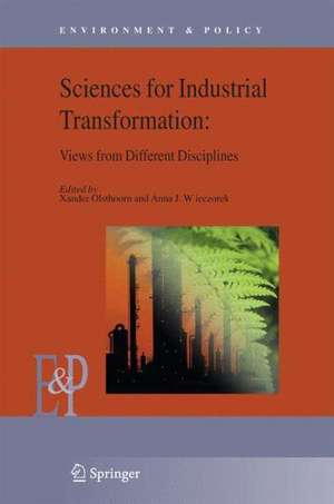 Understanding Industrial Transformation: Views from Different Disciplines de Xander Olsthoorn