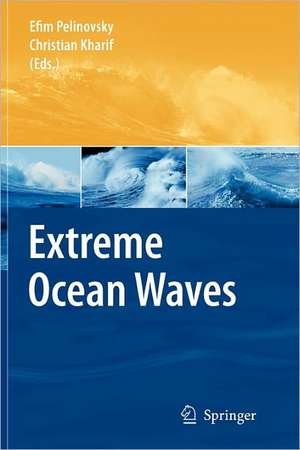 Extreme Ocean Waves de Efim Pelinovsky