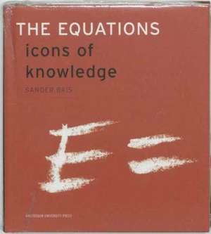 Bais, S: The Equations de Sander Bais