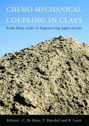 Chemo-Mechanical Coupling in Clays: From Nano-scale to Engineering Applications: Proceedings of the Workshop, Maratea, 38-30 June 2001 de C. Di Maio