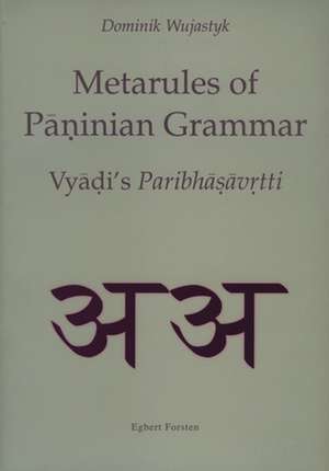 Metarules of Pāṇinian Grammar (2 vols.): Vyjāḍi's <i>Paribhāṣāvṛtti</i> de Dominik Wujastyk