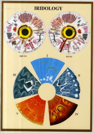 Iridology -- A4 de Jan van Baarle