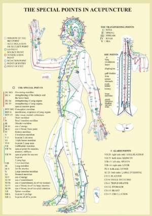 Special Points in Acupunture -- A4 de Jan van Baarle