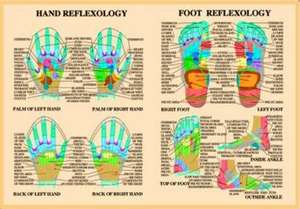 Hand and Foot Reflexology de Jan van Baarle