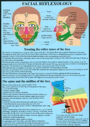 Facial Reflexology -- A4 de Jan van Baarle