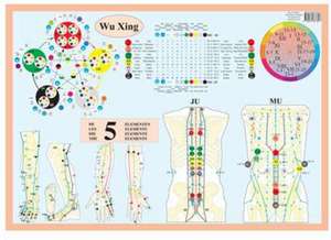 Wu Xing -- A2: The Five Elements de Jan Van Baarle