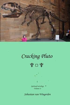 Cracking Pluto de Sebastian van Wingerden