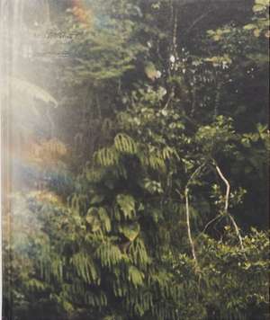 La Soufrière de Kristian Krän