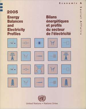 Energy Balances and Electricity Profiles 2005 de Bernan