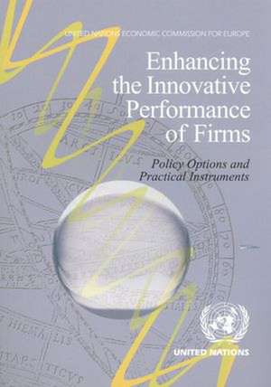 Enhancing the Innovative Performance of Firms: Policy Options and Practical Instruments de United Nations