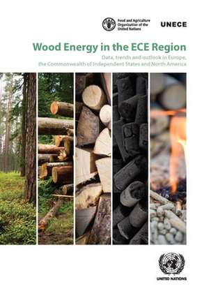 Wood Energy in the Ece Region de United Nations Publications