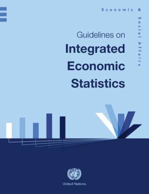 Guidelines on Integrated Economic Statistics de United Nations