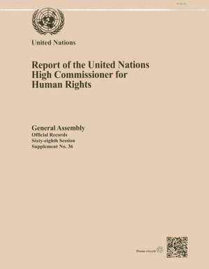 Report of the United Nations High Commissioner for Human Rights de United Nations