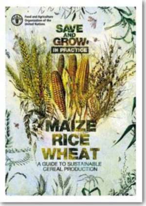 Save and Grow: Maize, Rice and Wheat de Food and Agriculture Organization of the