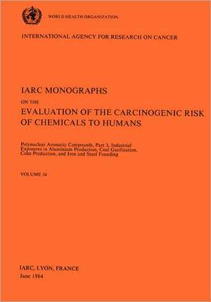 Polynuclear Aromatic Compounds: Industrial Exposures in Aluminium Production, Coal Gasification, Coke Production, and Iron and Steel Founding de Iarc