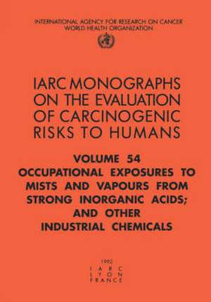 Occupational Exposures to Mists and Vapours from Strong Inorganic Acids; And Other Industrial Chemicals de Iarc