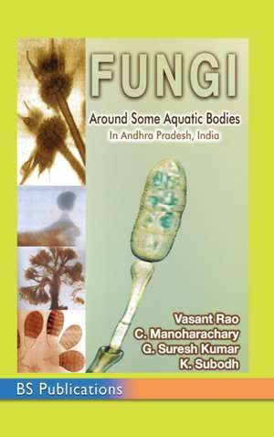Fungi de Vasant Rao