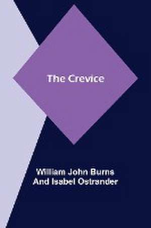 The Crevice de William John Burns