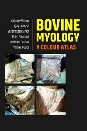 Bovine Myology: A Colour Atlas de Abhinov VermaAjay Prakash Gupta