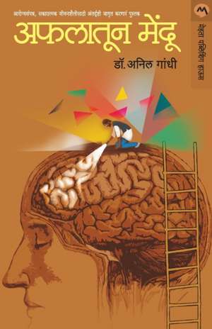 AFLATUN MENDU de Anil Gandhi