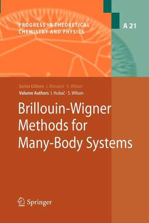 Brillouin-Wigner Methods for Many-Body Systems de Stephen Wilson