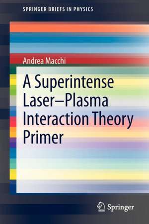 A Superintense Laser-Plasma Interaction Theory Primer de Andrea Macchi