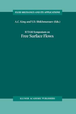 IUTAM Symposium on Free Surface Flows: Proceedings of the IUTAM Symposium held in Birmingham, United Kingdom, 10–14 July 2000 de A. C. King