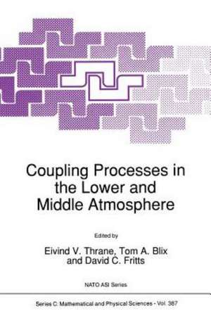 Coupling Processes in the Lower and Middle Atmosphere de E. V. Thrane