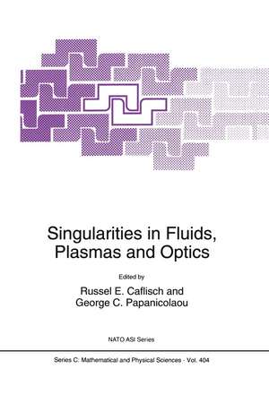 Singularities in Fluids, Plasmas and Optics de Russel Caflisch