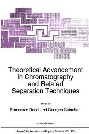 Theoretical Advancement in Chromatography and Related Separation Techniques de Francesco Dondi