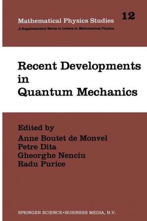 Recent Developments in Quantum Mechanics: Proceedings of the Brasov Conference, Poiana Brasov 1989, Romania de Anne Boutet de Monvel