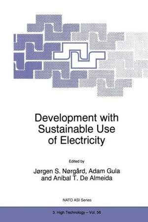 Development with Sustainable Use of Electricity de Jørgen S. Nørgård