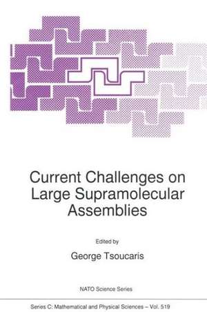 Current Challenges on Large Supramolecular Assemblies de Georges Tsoucaris