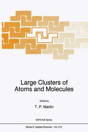 Large Clusters of Atoms and Molecules de T. P. Martin