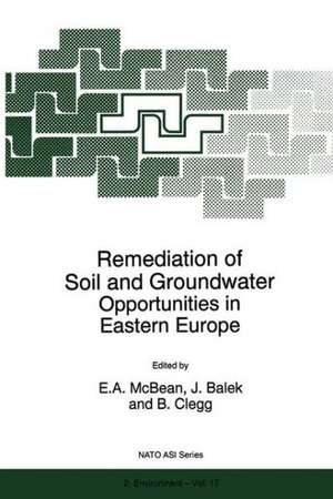 Remediation of Soil and Groundwater: Opportunities in Eastern Europe de E.A. McBean