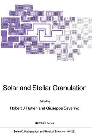 Solar and Stellar Granulation de R. J. Rutten