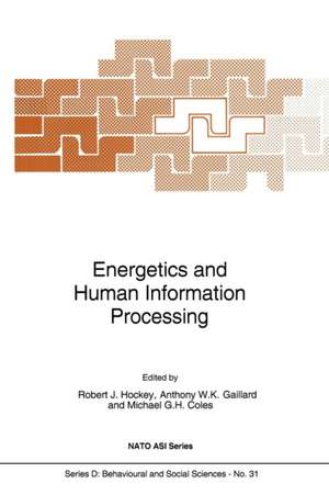 Energetics and Human Information Processing de G.M. Hockey