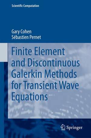 Finite Element and Discontinuous Galerkin Methods for Transient Wave Equations de Gary Cohen