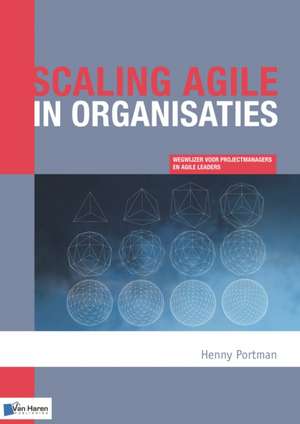 Portman, H: Scaling agile in organisaties