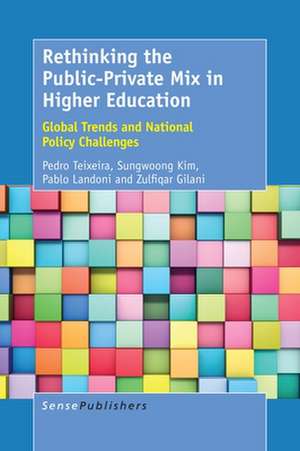 Rethinking the Public-Private Mix in Higher Education: Global Trends and National Policy Challenges de Pedro N. Teixeira