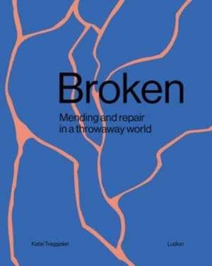 Broken de Katie Treggiden