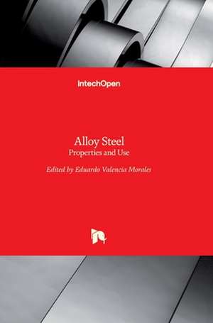 Alloy Steel de Eduardo Valencia Morales