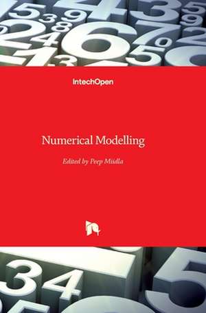 Numerical Modelling de Peep Miidla