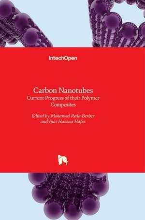 Carbon Nanotubes de Mohamed Berber