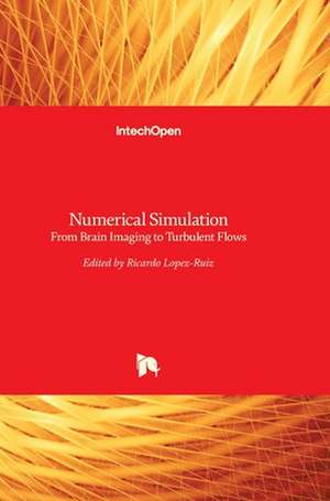 Numerical Simulation de Ricardo Lopez-Ruiz