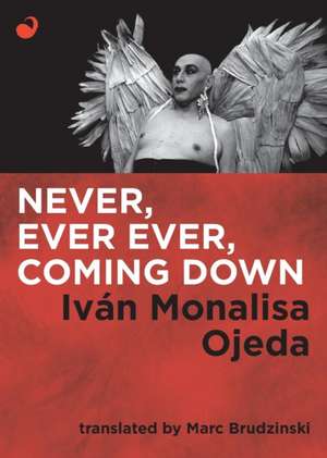 Never, Ever Ever, Coming Down de Iván Monalisa Ojeda