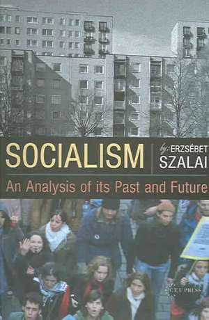 Socialism: An Analysis of Its Past and Future de Erzsebet Szalai